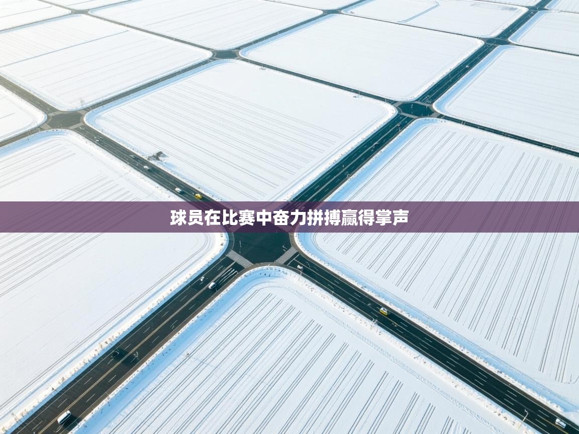球员在比赛中奋力拼搏赢得掌声 第1张