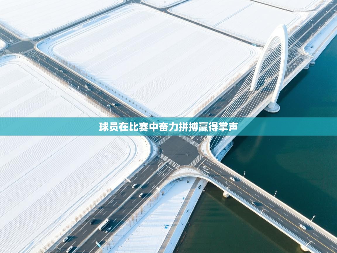 球员在比赛中奋力拼搏赢得掌声 第2张