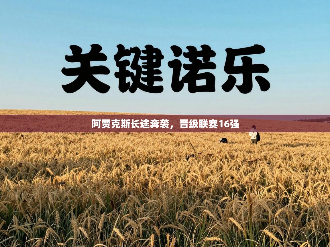 阿贾克斯长途奔袭,晋级联赛16强 第2张