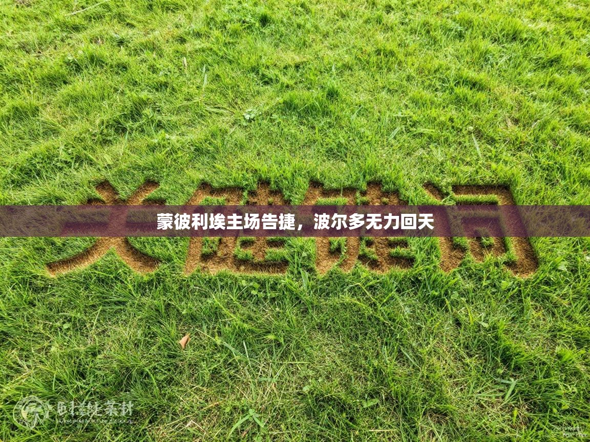 蒙彼利埃主场告捷,波尔多无力回天 第1张