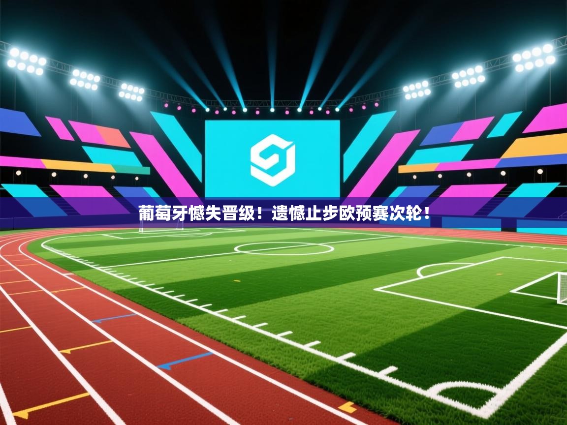 葡萄牙憾失晋级！遗憾止步欧预赛次轮！  第2张
