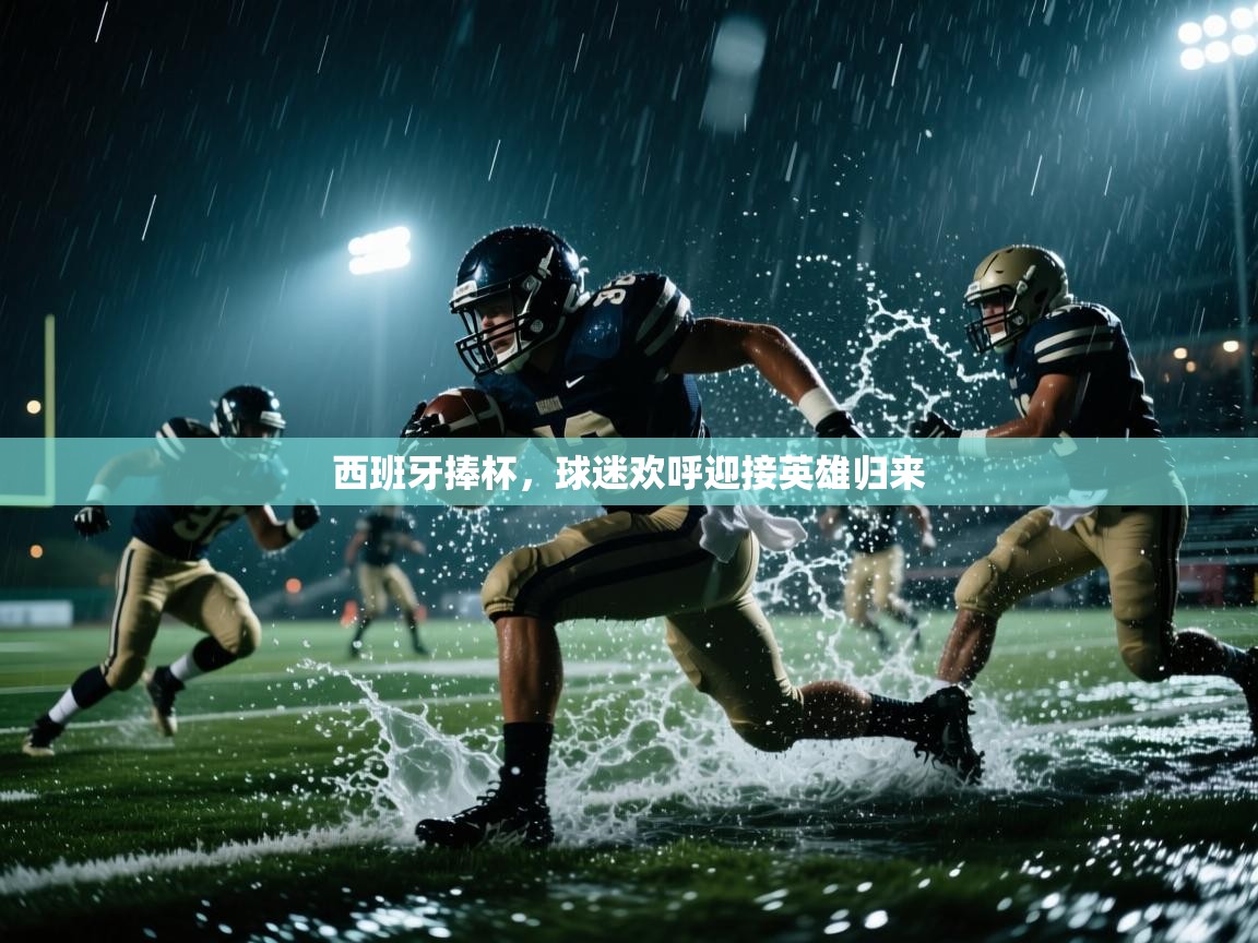 西班牙捧杯，球迷欢呼迎接英雄归来  第2张