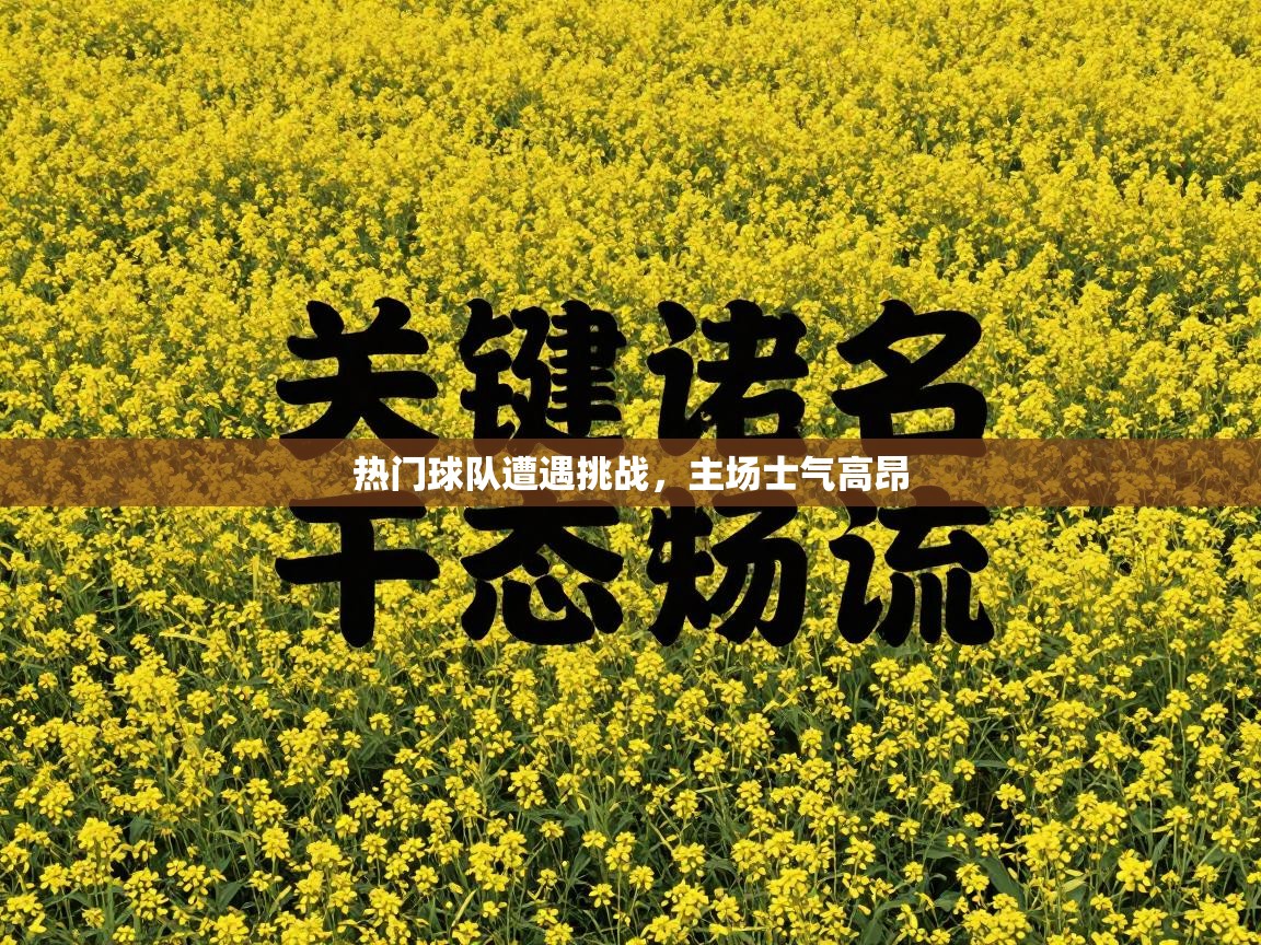 热门球队遭遇挑战，主场士气高昂  第2张