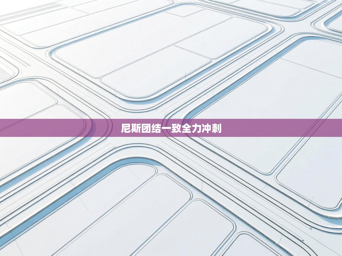 尼斯团结一致全力冲刺  第1张