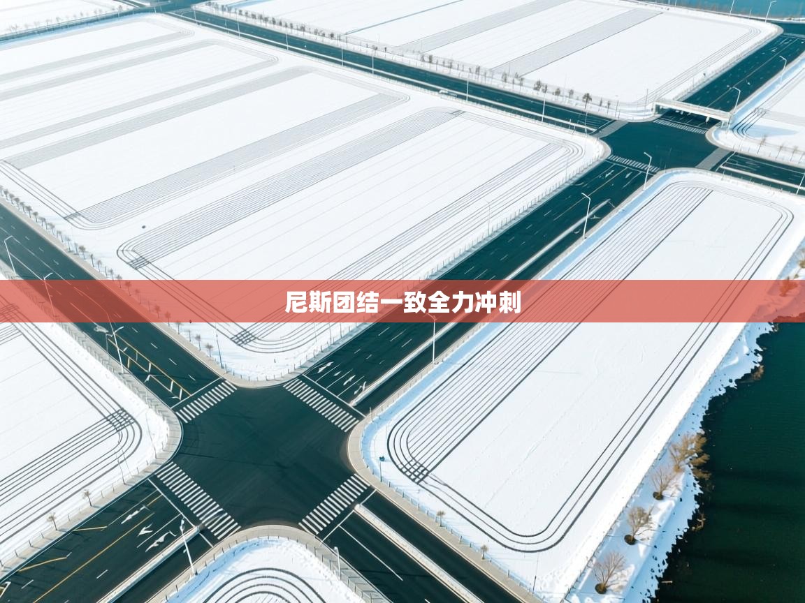 尼斯团结一致全力冲刺  第2张