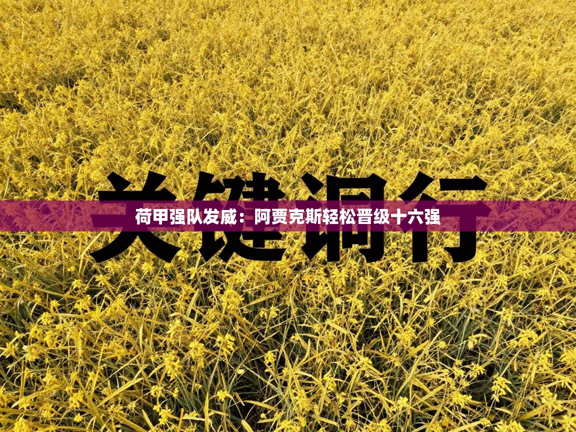 荷甲强队发威：阿贾克斯轻松晋级十六强  第1张