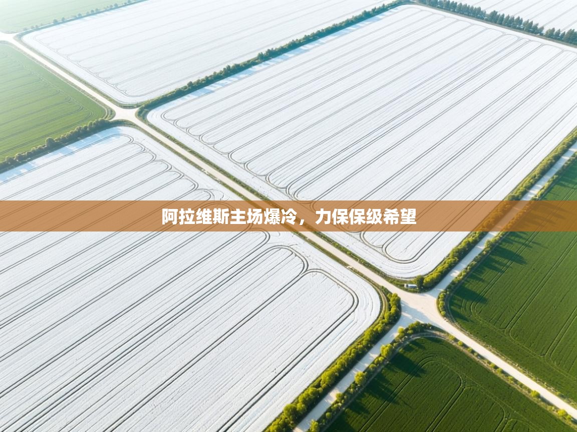 阿拉维斯主场爆冷,力保保级希望 第1张