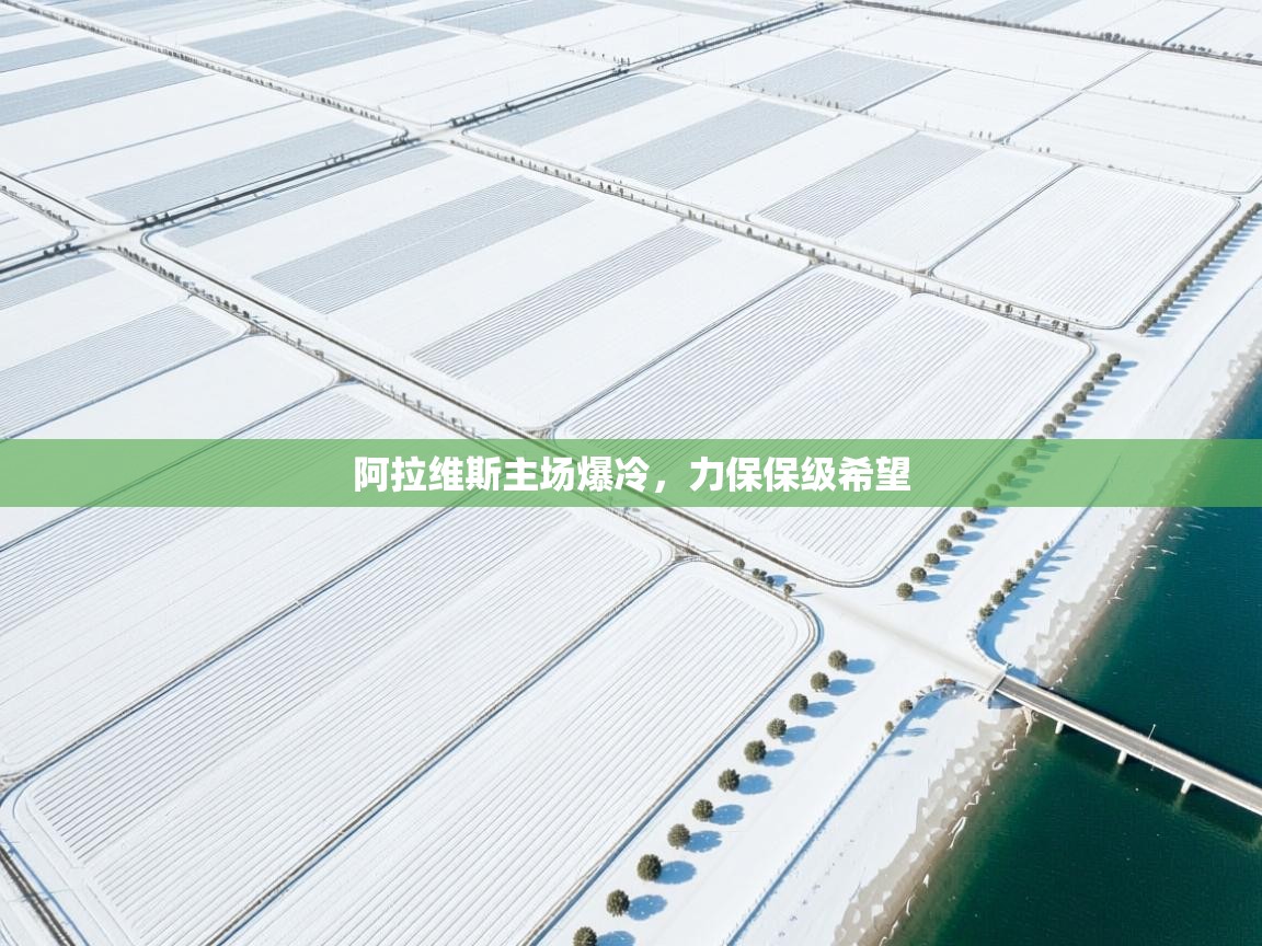 阿拉维斯主场爆冷,力保保级希望 第2张