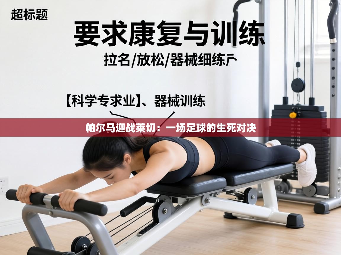 帕尔马迎战莱切:一场足球的生死对决 第2张